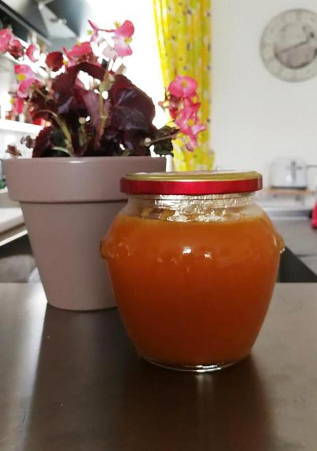 Donna Adelina Alojamento de Acomodação e Pequeno-almoço